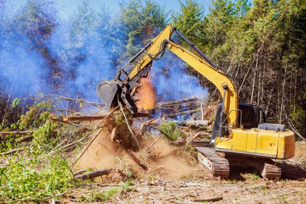 Salt Lake City Land Clearing